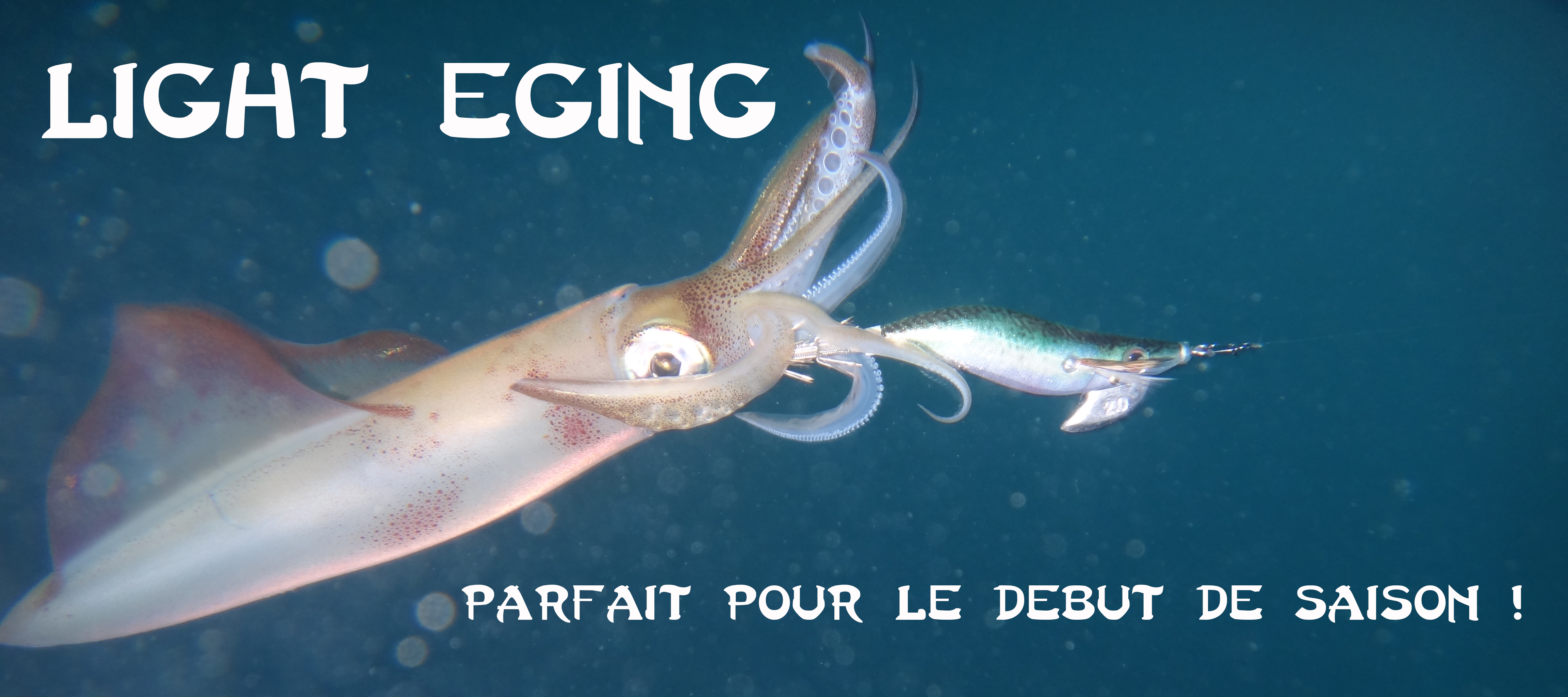 Light Eging pour l’entrée de saison