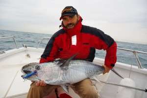 Thons au Sashimi 3 D Popper