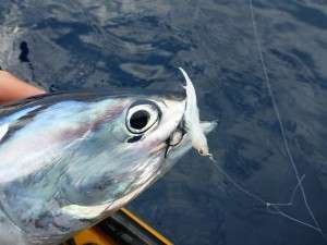 Vif Argent Flashmer : l’arme secrète !