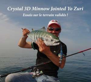 Crystal 3 D Minnow Jointed Yo-Zuri : Essais sur le terrain