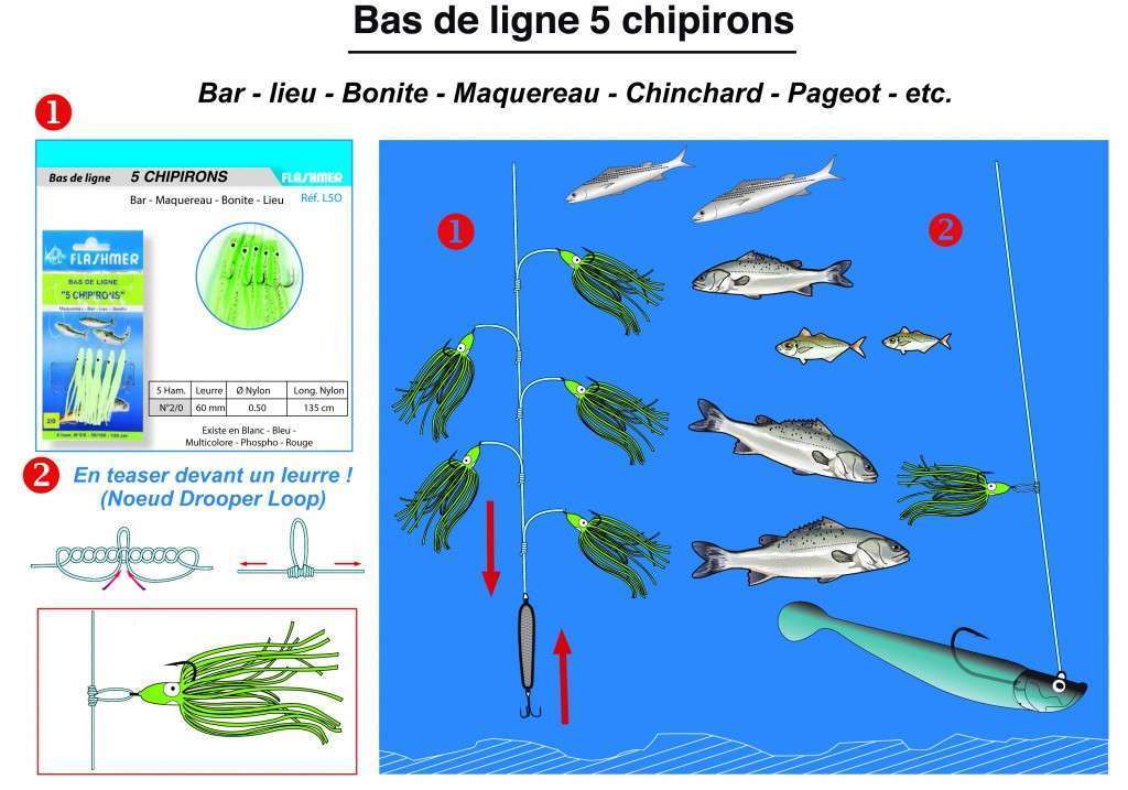 Bas de ligne 5 chipirons
