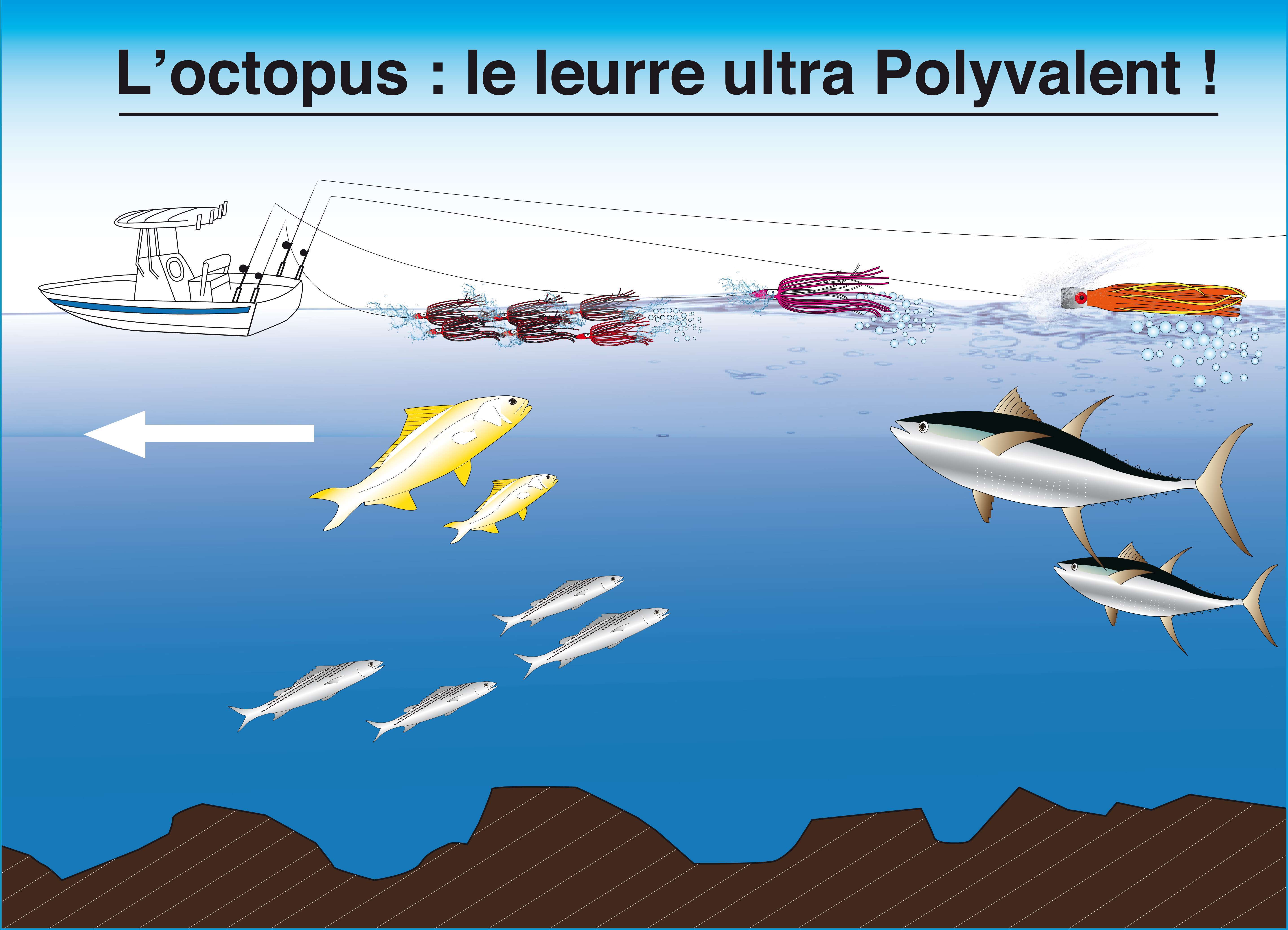 Octopus Flashmer : le leurre ultra polyvalent ! (Partie 1)