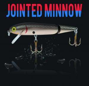 Jointed Minnow Rebel : le mini Swimbait