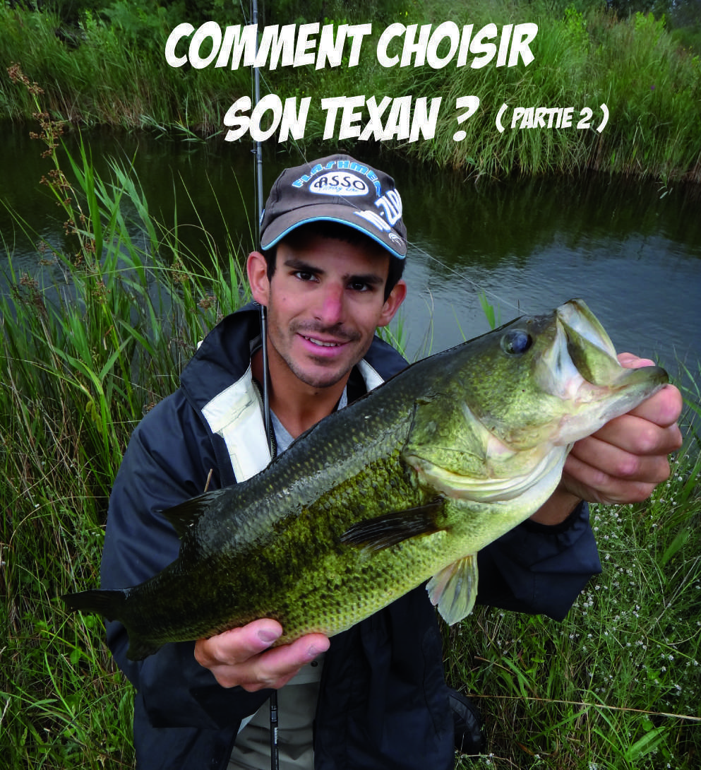 Comment choisir son texan ? (partie 2)