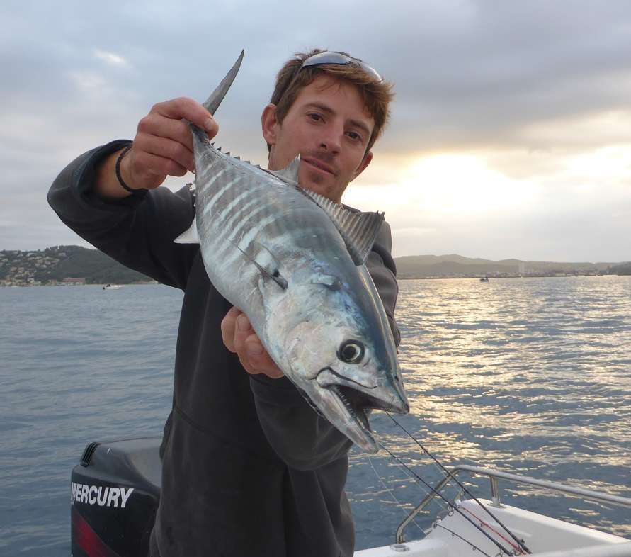 Bilan saison 2015, par Vincent Goletto