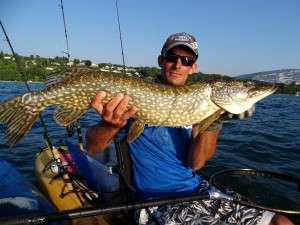 Le Swim Fish de LUNKER CITY