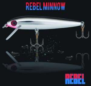 Rebel Minnow : l’ efficacité à petit prix !