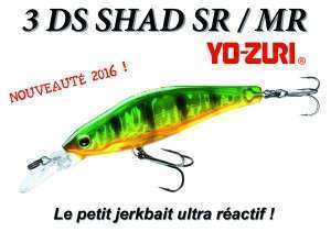 3DS Shad SR / MR : les petits jerkbaits ultra réactif !