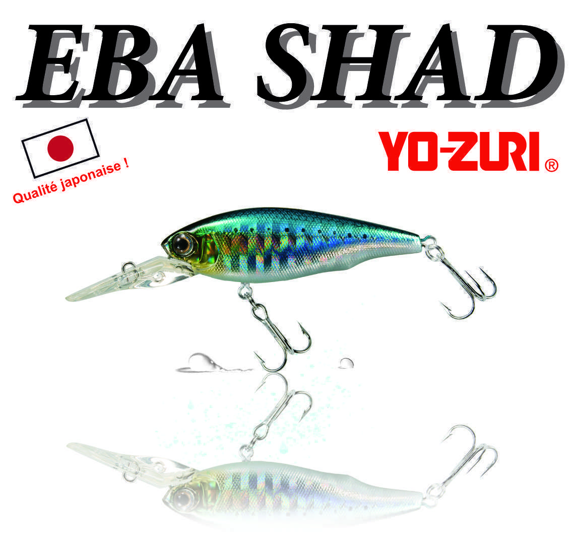 EBA SHAD : cherchez les truites en profondeur !