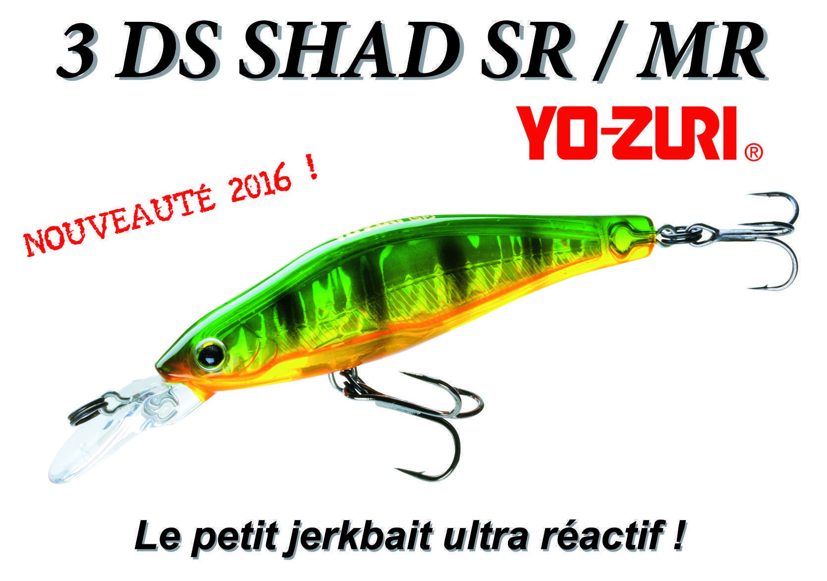 3DS Shad SR / MR : les petits jerkbaits ultra réactif !