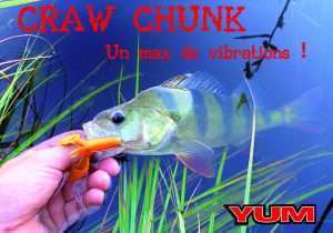 Craw Chunk Yum : un max de vibrations !