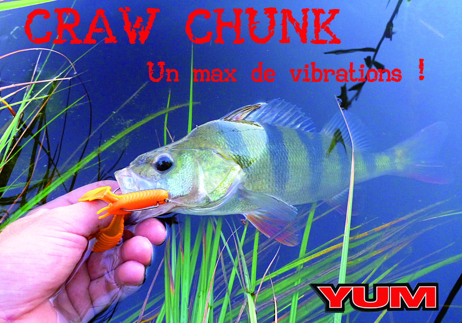 Craw Chunk Yum : un max de vibrations !