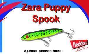 Zara Puppy Spook Heddon : l’arme secrète !
