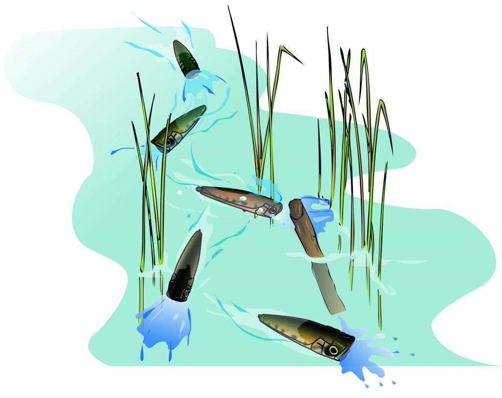 Outils Sashimi Popper