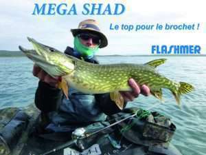 Méga Shad Flashmer : le top pour le brochet !