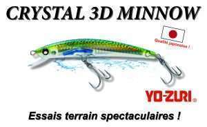 3 D Minnow Yo-Zuri : essais terrain spectaculaires !