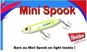 Bars au Mini Spook en light tackle