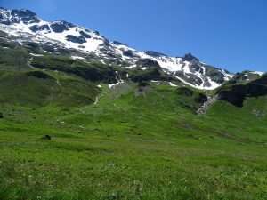 Squatteurs de juillet