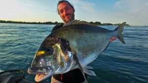 Sortie dorades au montage à crabe : interview d’ Alexis Chatelain