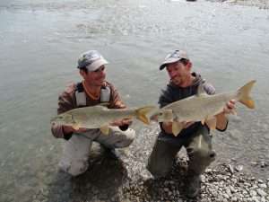 Pêche au feeder : facile !