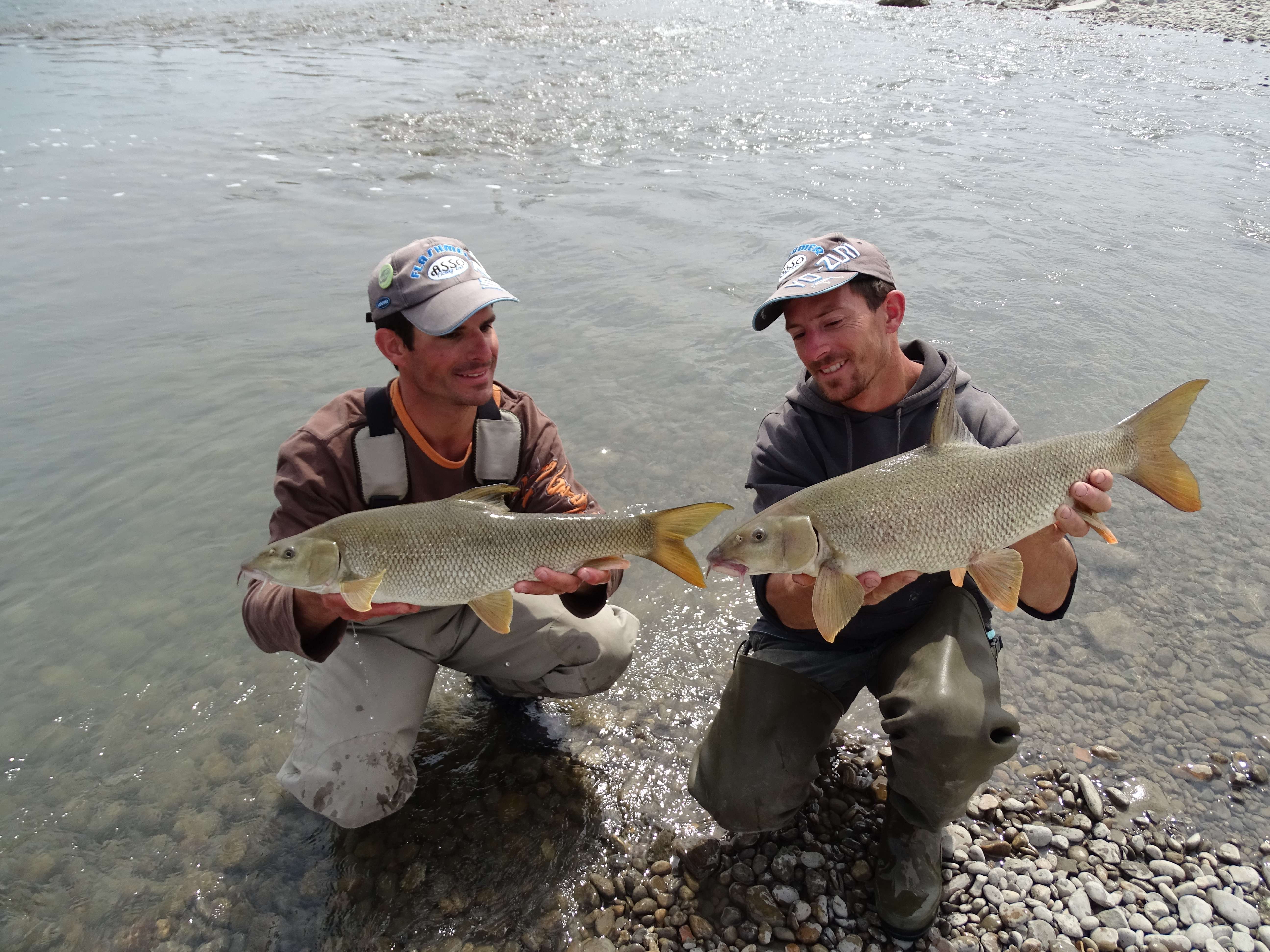 Pêche au feeder : facile !