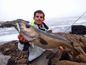 Une semaine dans le Kerry