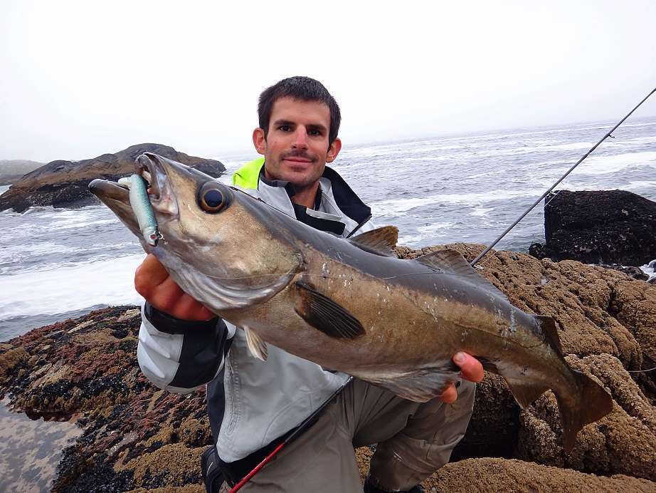 Une semaine dans le Kerry