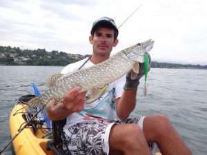 Shads à palette : recyclez et créez de nouveaux leurres !