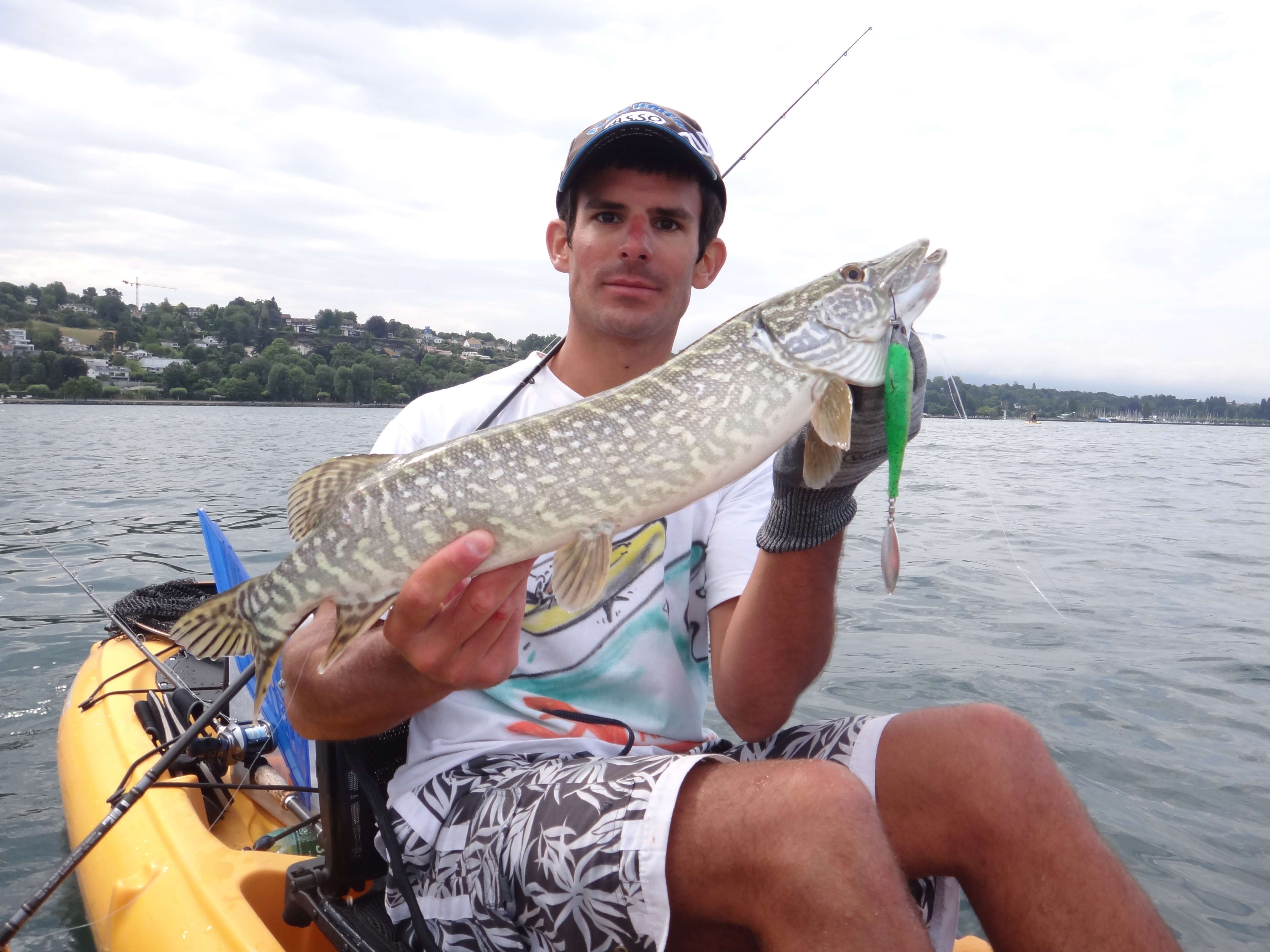 Shads à palette : recyclez et créez de nouveaux leurres !