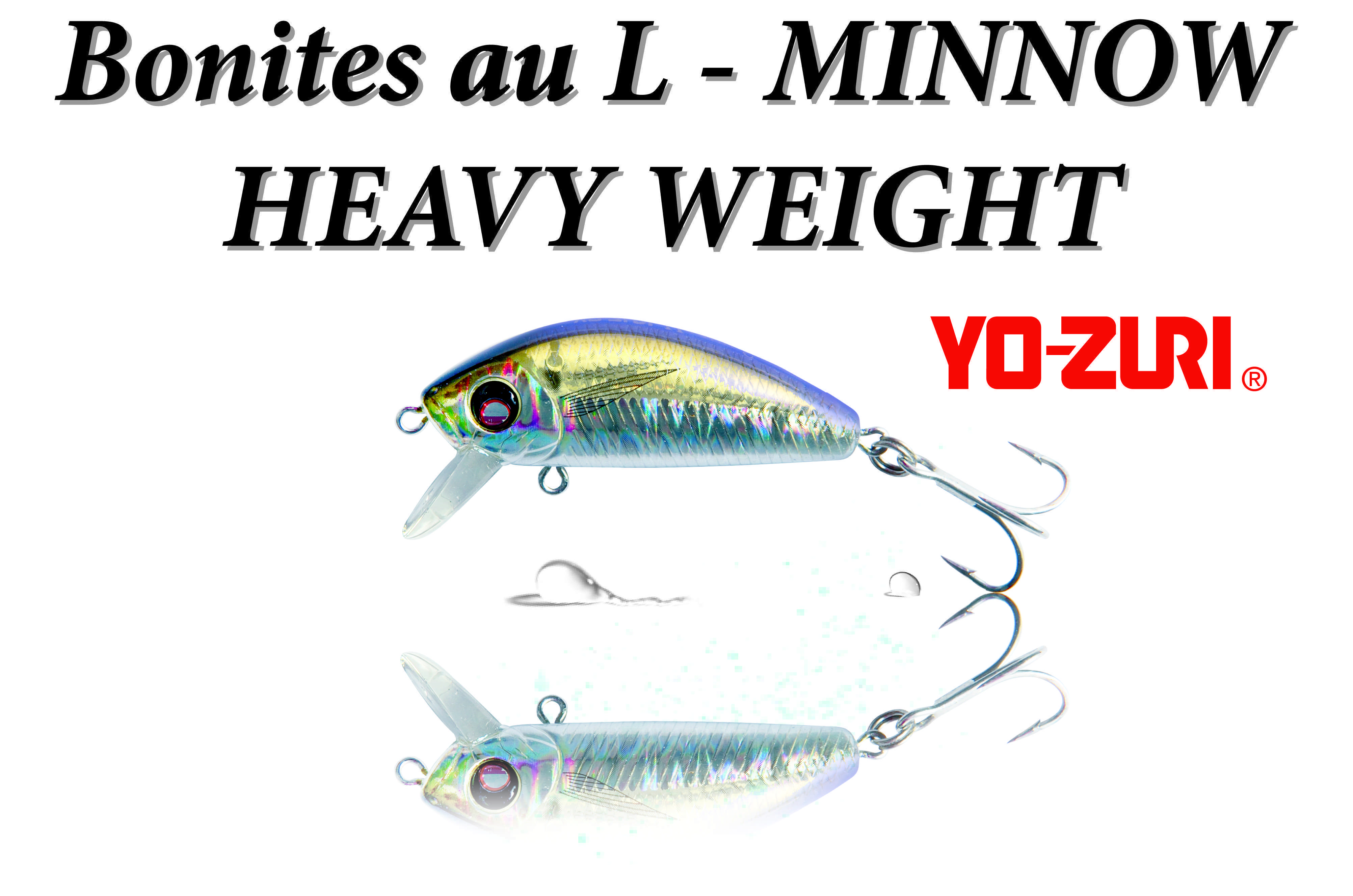 Test du L-Minnow Heavy Weight sur les bonites