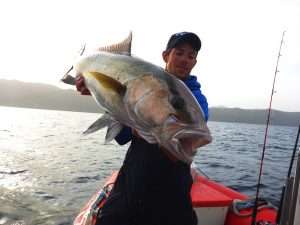 Bilan 2016 (par Vincent Goletto)