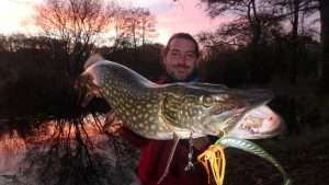 Spinnerbait et shad : le « pattern Christie » !