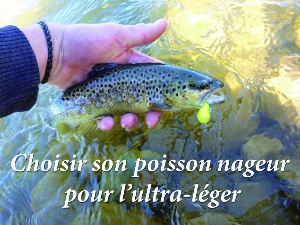 Choisir son poisson nageur pour l'ultra-léger