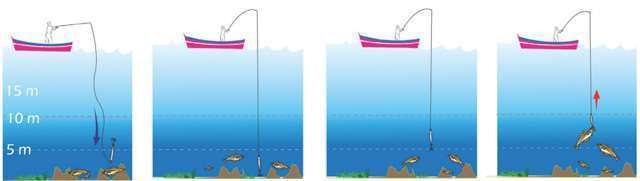 Animation pêche verticale