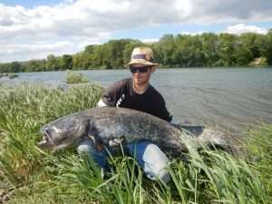Silures du Rhône en kayak