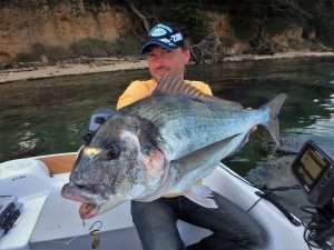 Daurades record au nouveau montage à crabe renforcé