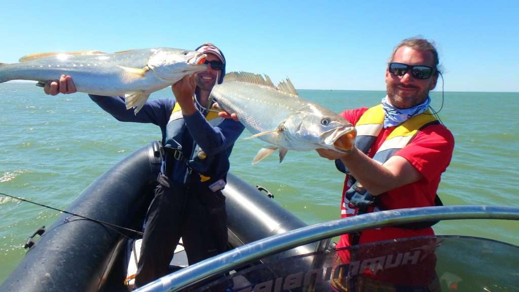 Maigres pris avec la technique de l'ascenseur