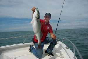 Shad : la technique de la traction