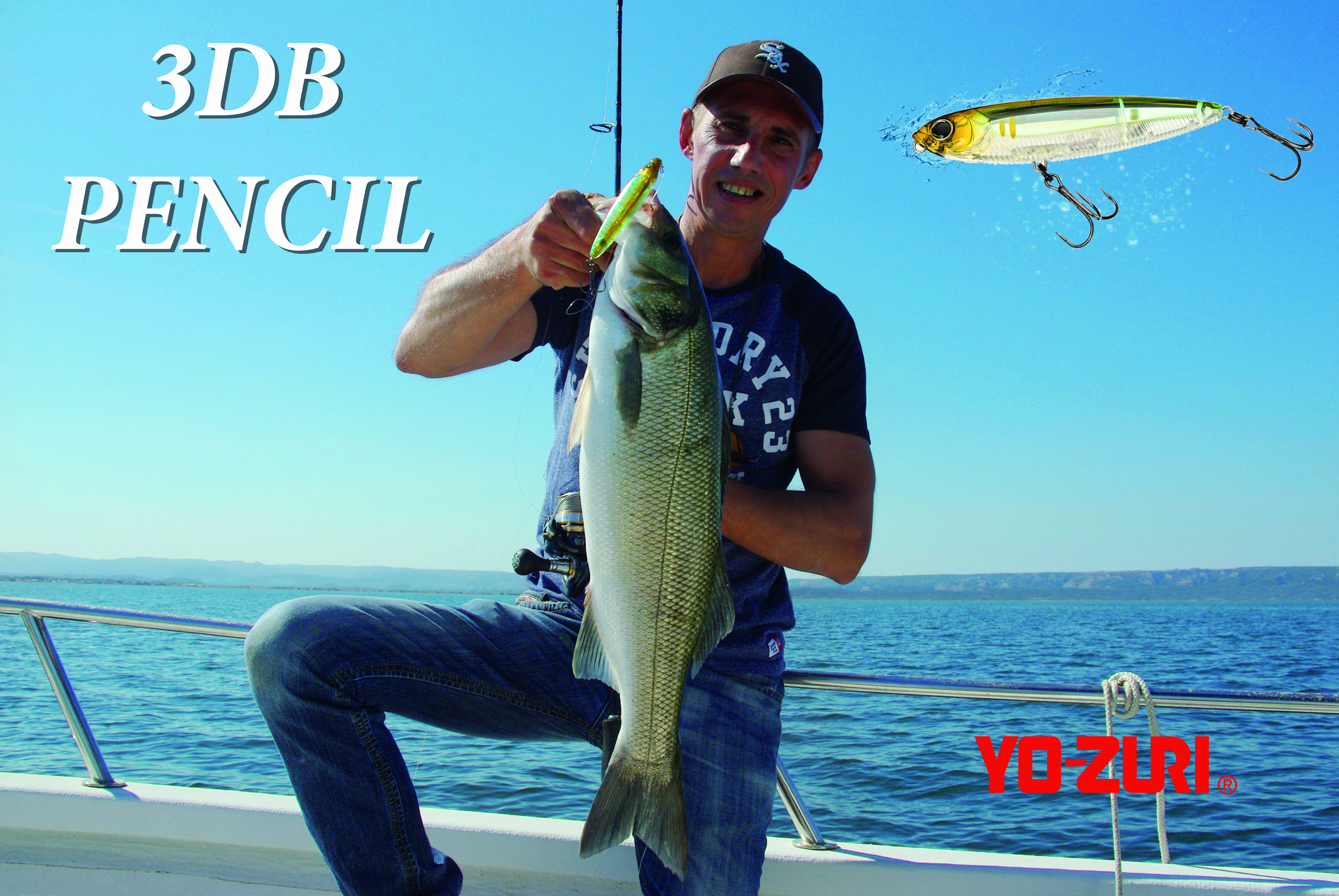 3 DB Pencil Yo Zuri : un stickbait au top !