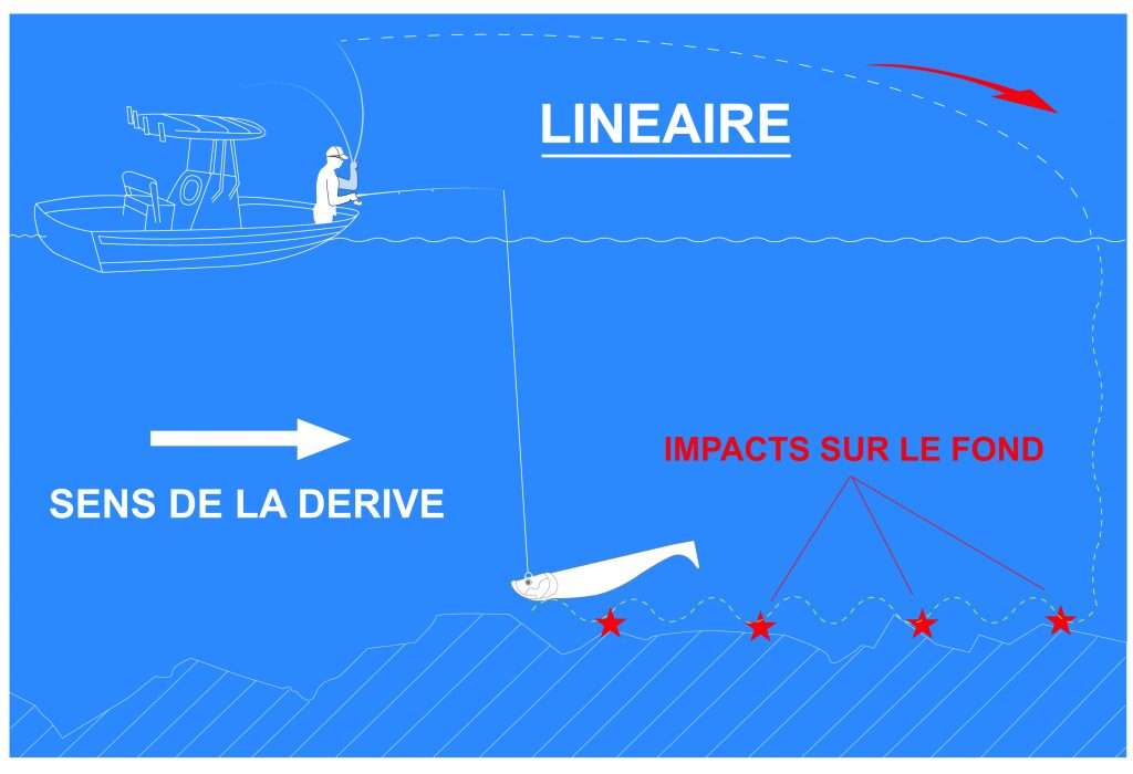 Illustration pêche en linéaire avec un Blue Shad Illustration pêche en linéaire avec un Blue Shad