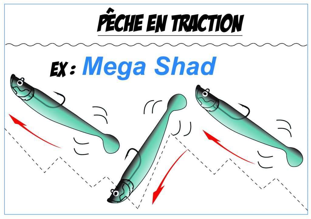 Pêche en Traction - Mega Shad Pêche en Traction - Mega Shad