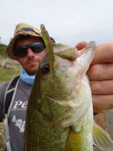 La technique de pêche en wacky