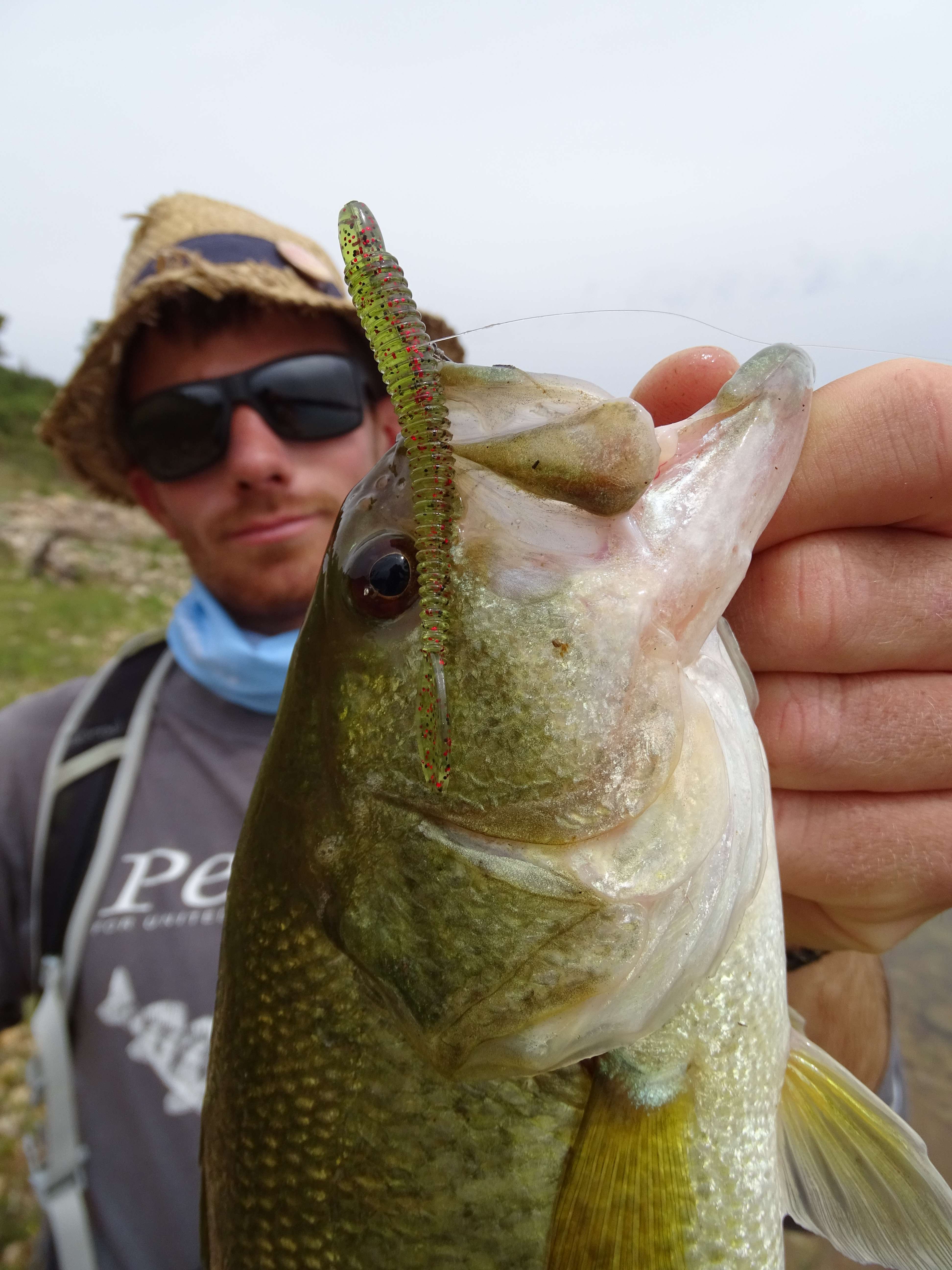 La technique de pêche en wacky