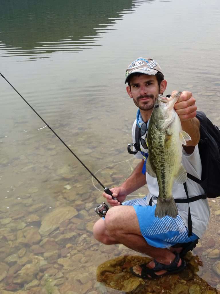 Daurade prise au montage wacky