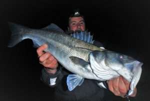 Shads : pêche en linéaire du bord