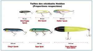 Les stickbaits Heddon en mer (partie 1)