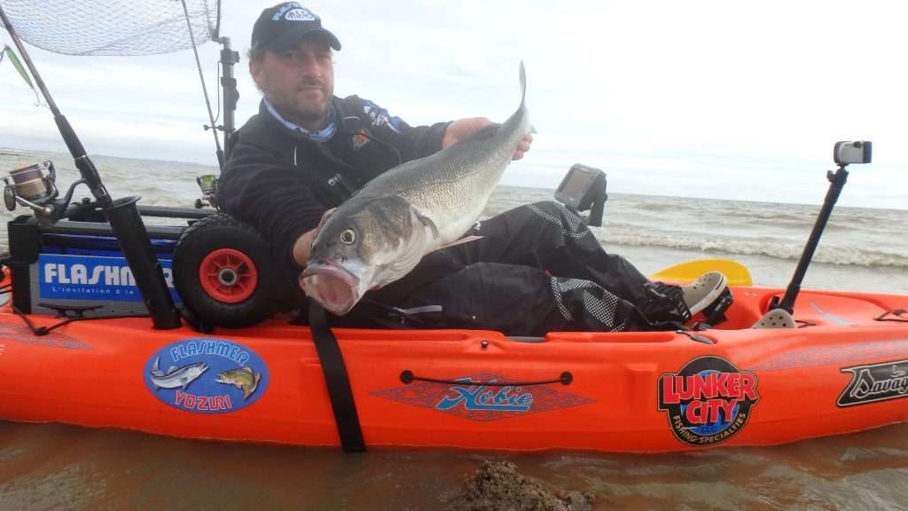 Joli bar pris en « grattant » le fond