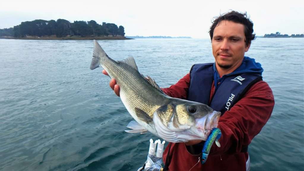 Dans les fonds encombrés, le Blue Equille est parfait pour pêcher à gratter