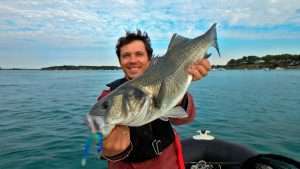 Shads : la pêche à gratter