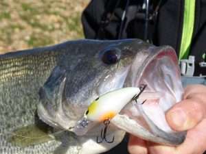 Power fishing aux crankbaits